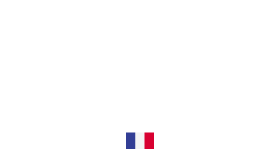 Brain - TopCom d'Or